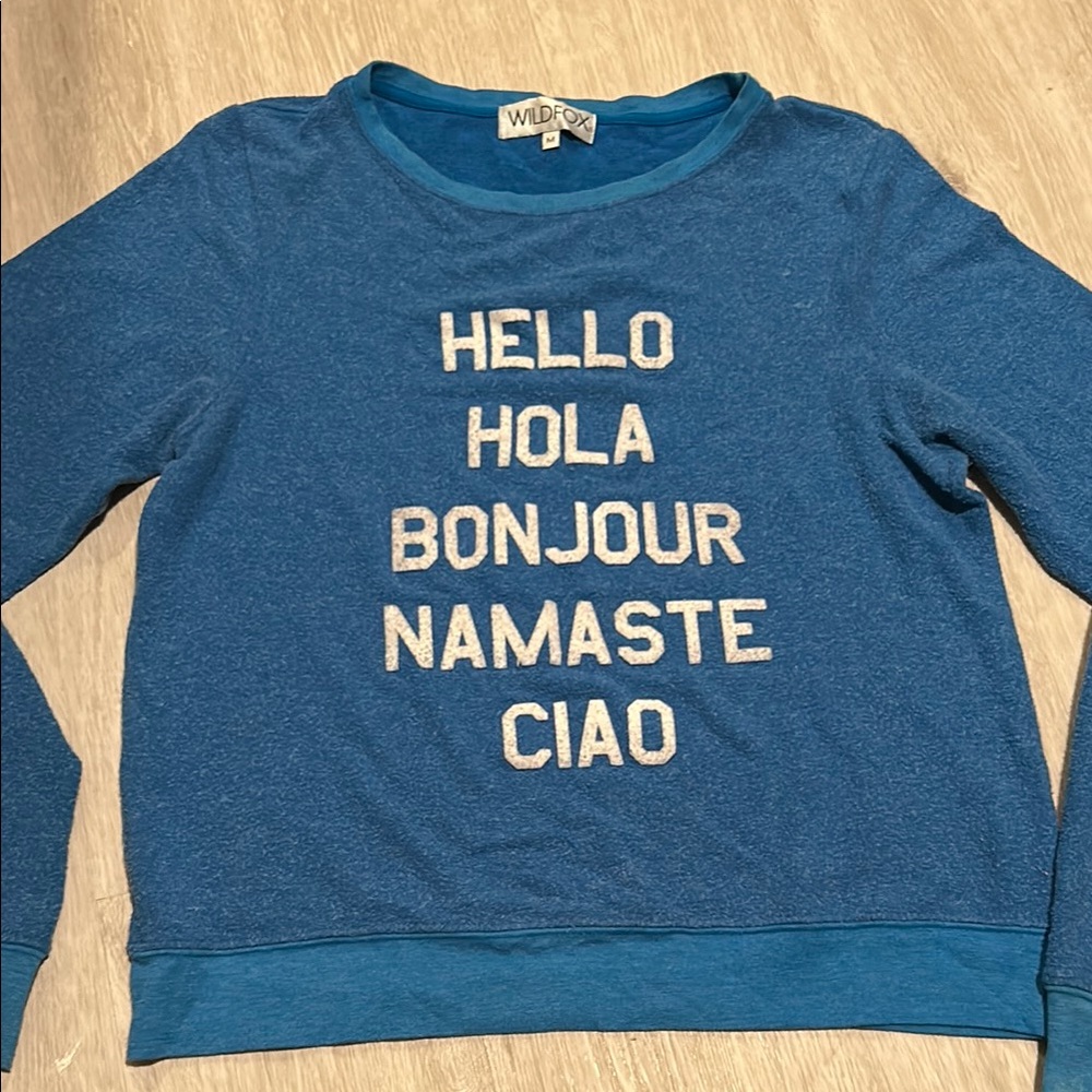 Wildfox Blue Graphic Sweater
